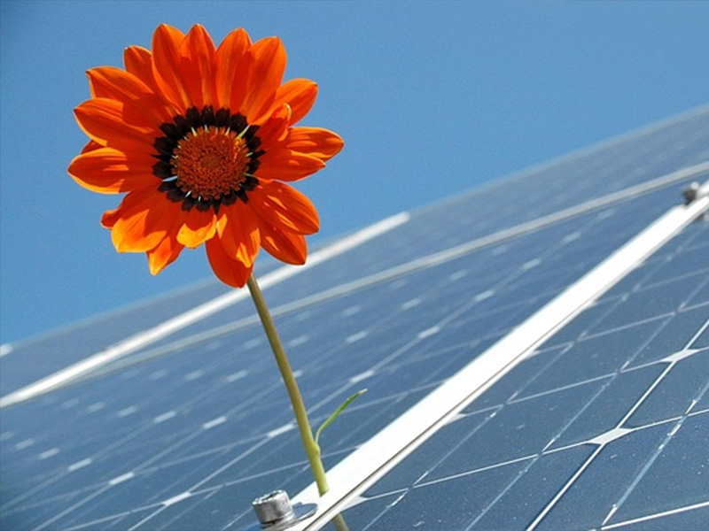 Chris’s Journey to Lowering Electricity Bills